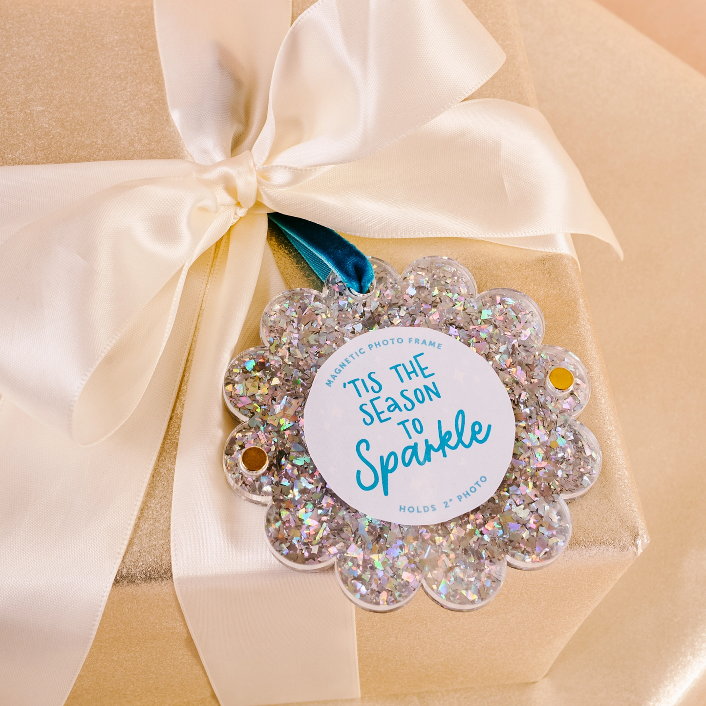 The Darling Effect Mini Acrylic Picture Frame Ornament - Persnickety Shop