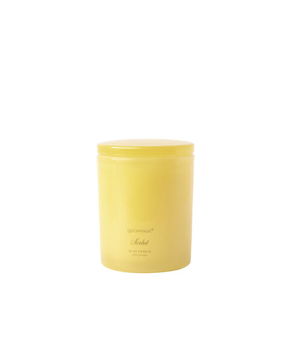 Sorbet Foundry Candle - Persnickety Shop