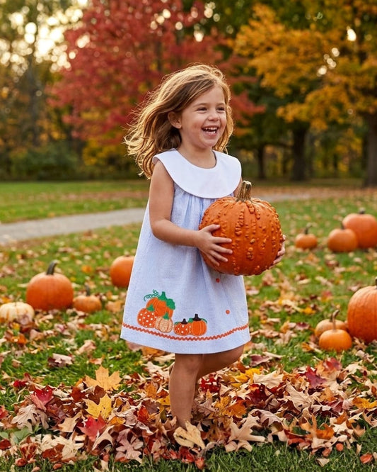 Lil Cactus Light Blue Seersucker Pumpkin Yoke Dress