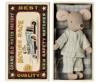 Big brother mouse in matchbox