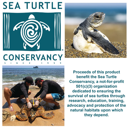 Sea Turtle Hatchling Individual Eggs - Persnickety Shop