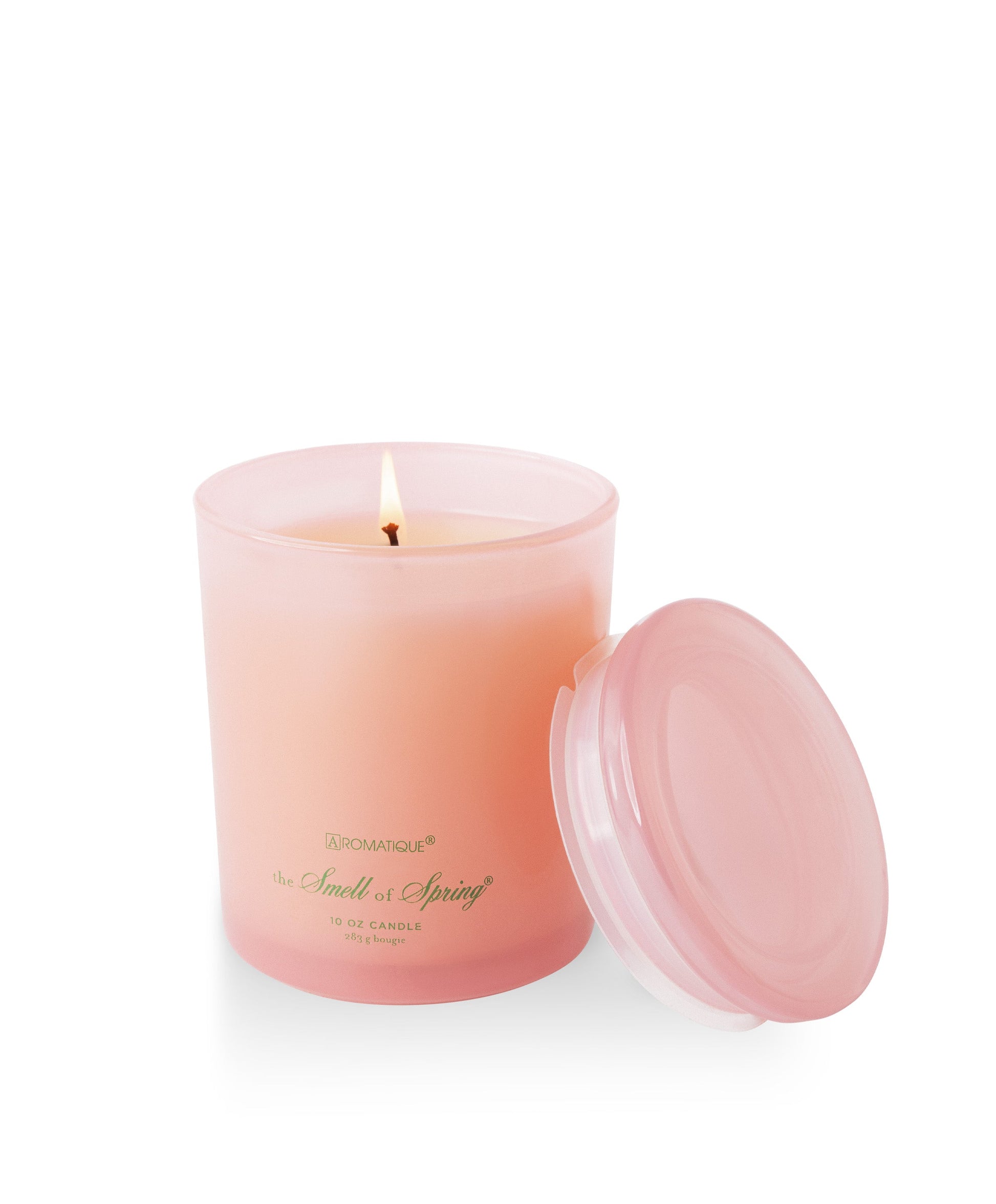 The Smell Of Spring Foundry Candle - Persnickety Shop