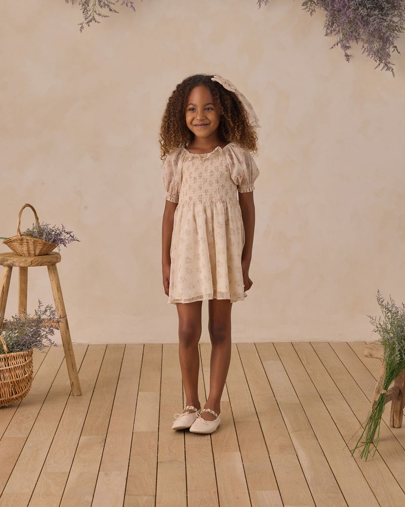 MILLIE DRESS POSY - Persnickety Shop