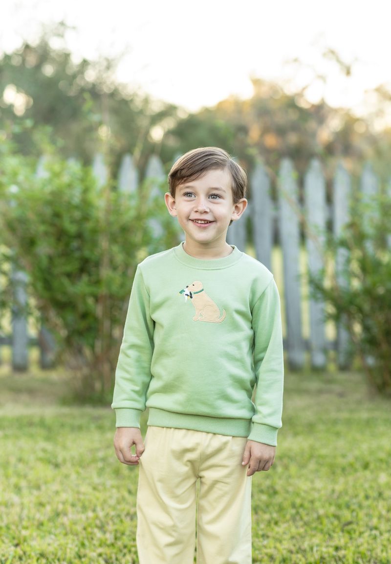 Trotter Street Kids French Terry Pullover- Dog and Duck