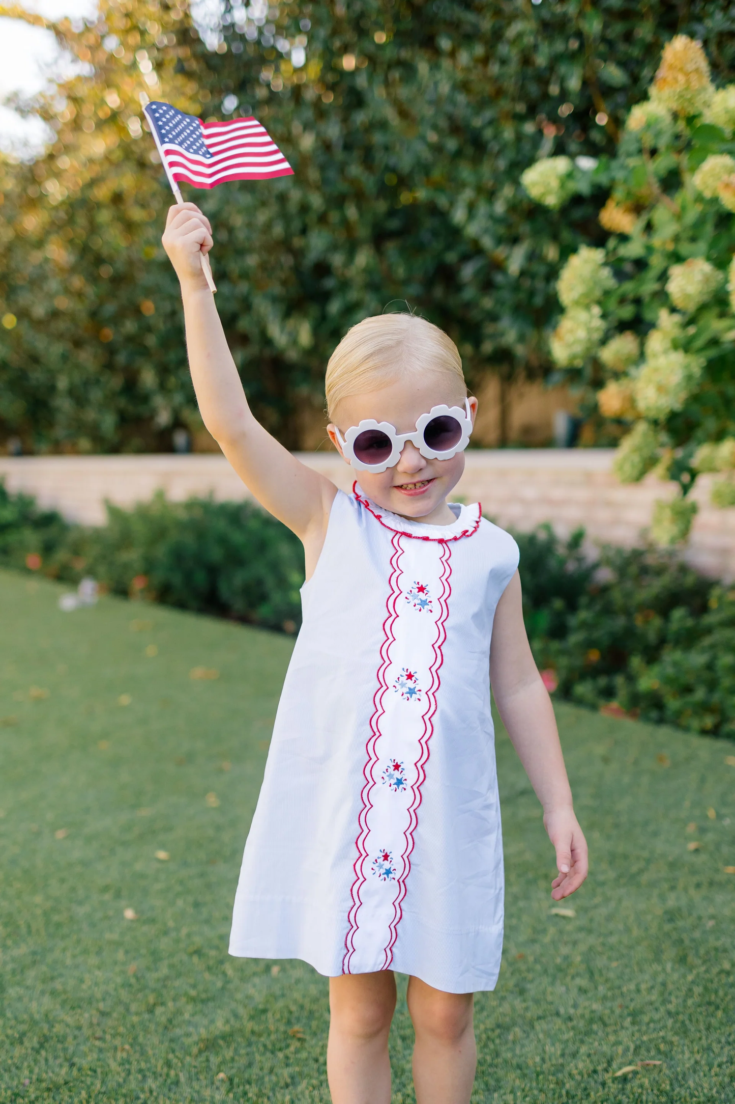 THE PROPER PEONY Revere Fireworks Dress - Persnickety Shop