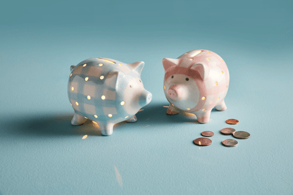 Pink Light Up Piggy Bank - Persnickety Shop