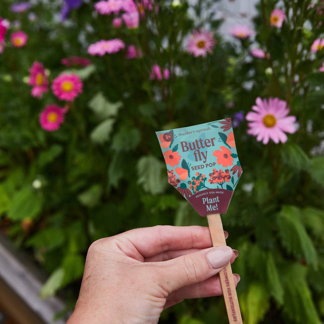 Seed Pops - Pollinator - Persnickety Shop