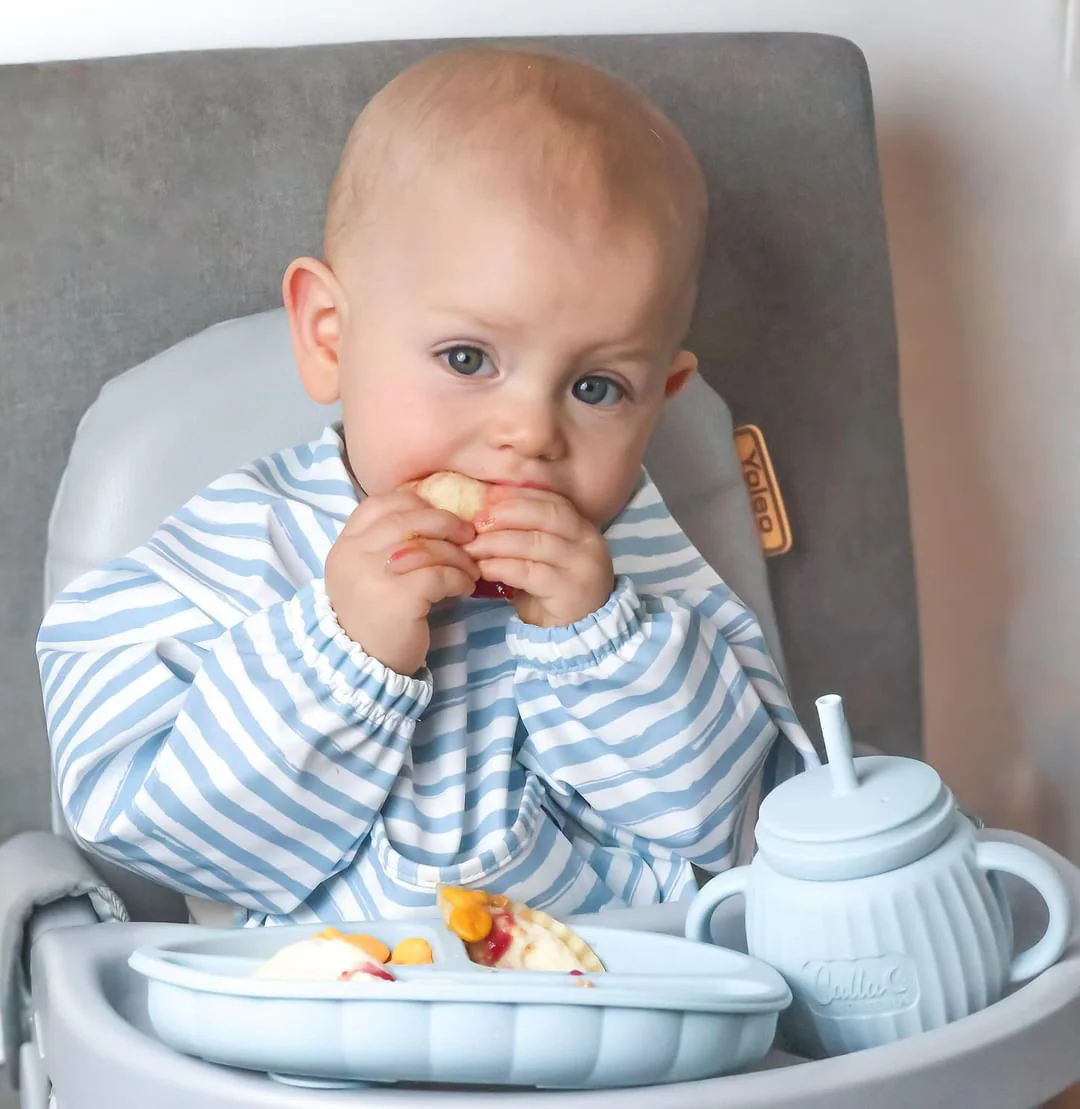 The Grayson Long Sleeve Bib - Persnickety Shop