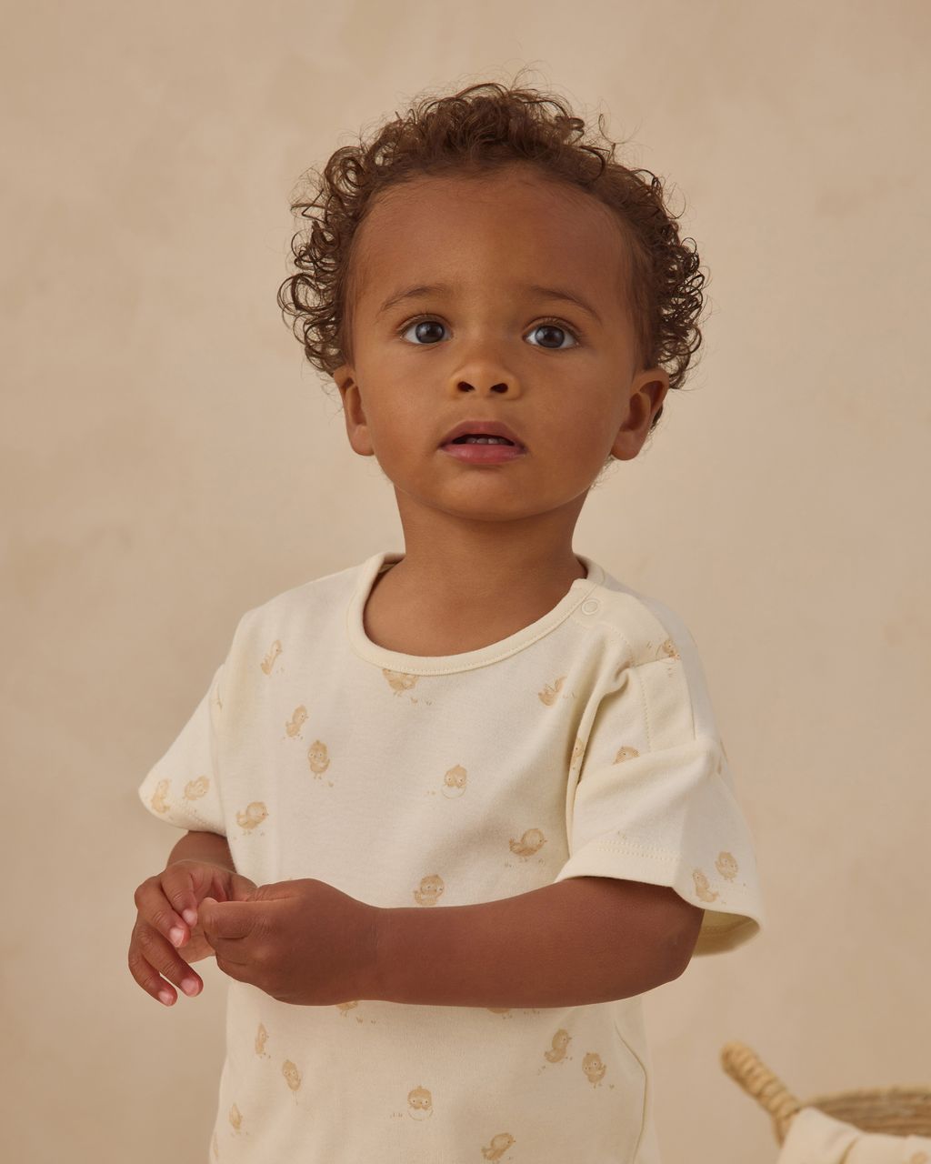 Frankie Set || Chicks - Persnickety Shop