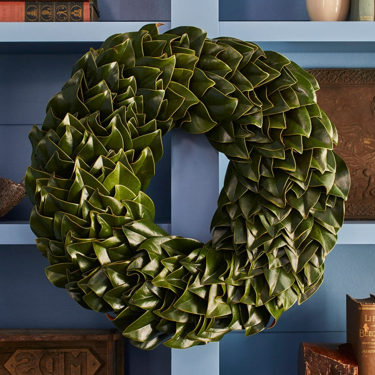 All Green Magnolia Wreath 24" - Persnickety Shop