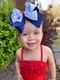 Wee Ones KING FIREWORK Patriotic Embroidery on Moonstitch Edge Hair Bow - Persnickety Shop