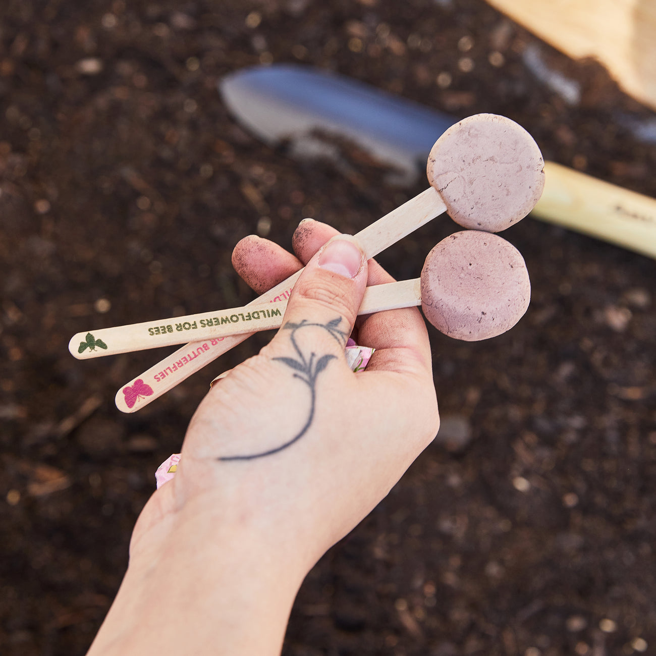 Seed Pops - Pollinator - Persnickety Shop