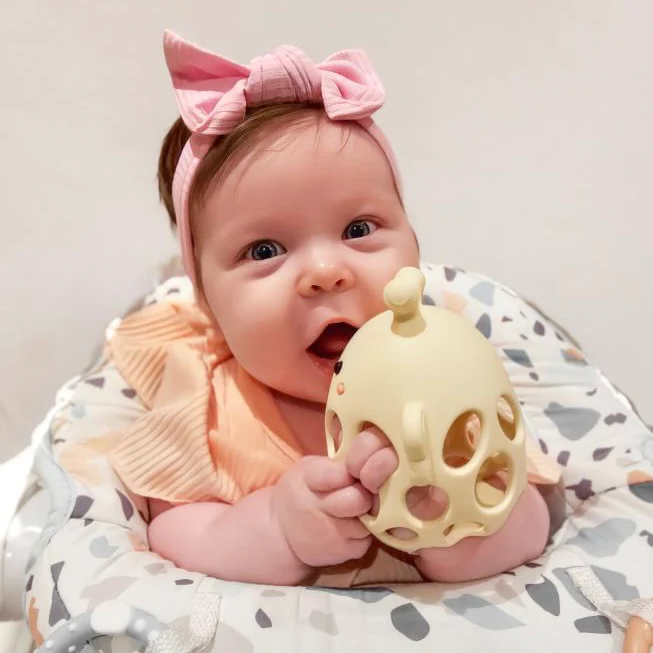 Garden Party Collection - Honey Bee Teether - Persnickety Shop