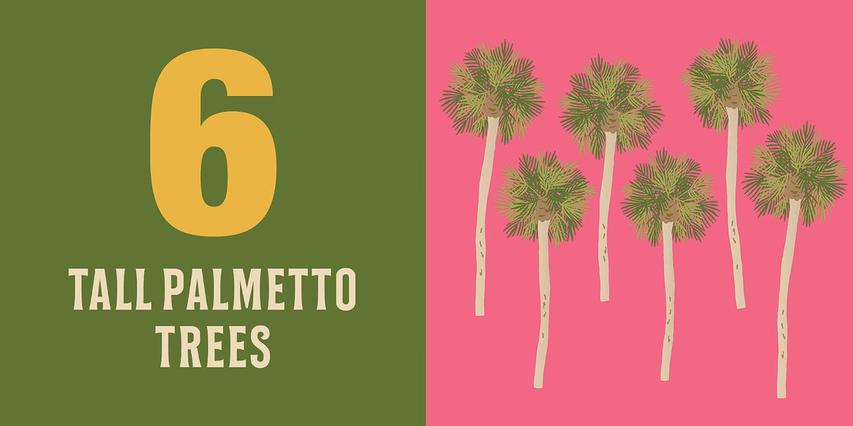 Count On South Carolina: Baby's First Book About the Palmetto State