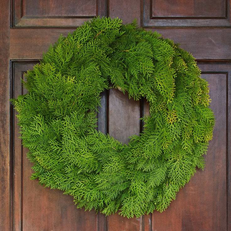 Simply Cedar Wreath24" - Persnickety Shop