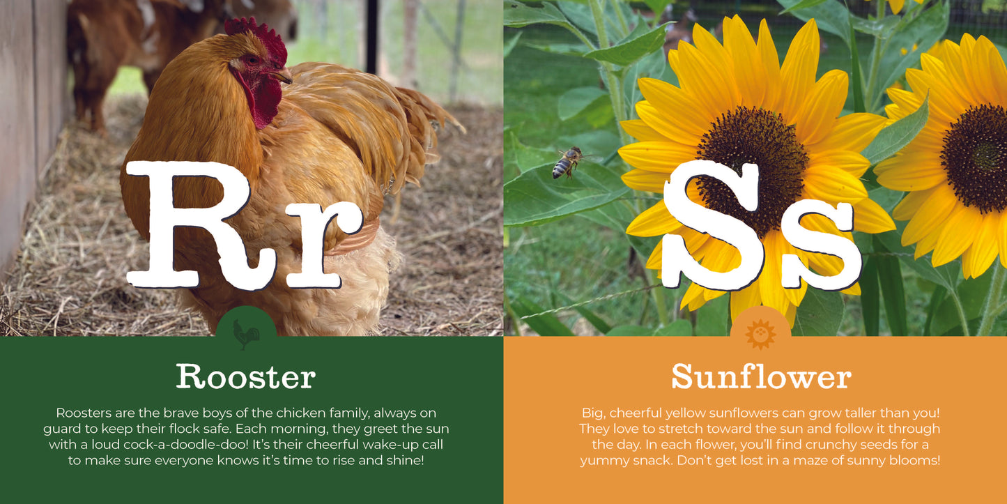 MY FIRST HOMESTEAD ABCS - Persnickety Shop