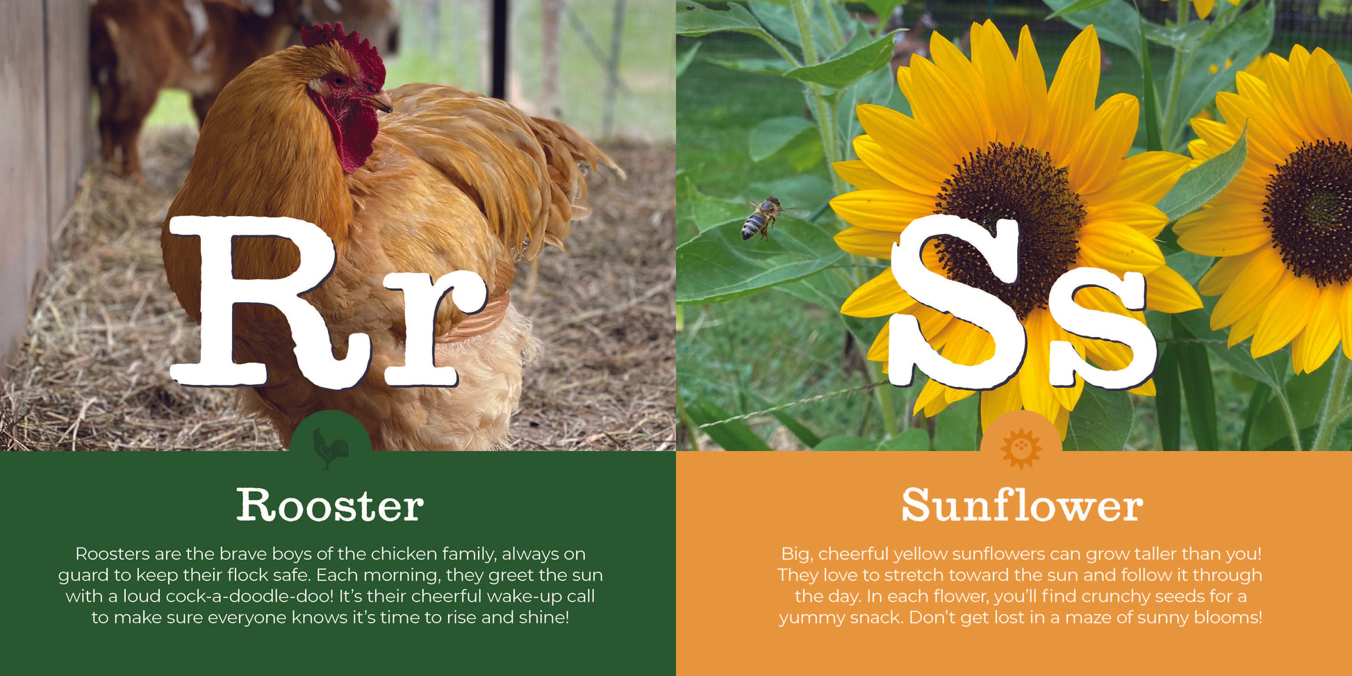 MY FIRST HOMESTEAD ABCS - Persnickety Shop