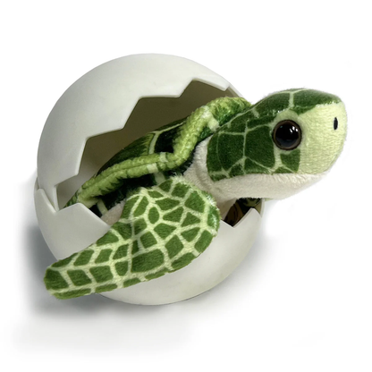 Sea Turtle Hatchling Individual Eggs - Persnickety Shop