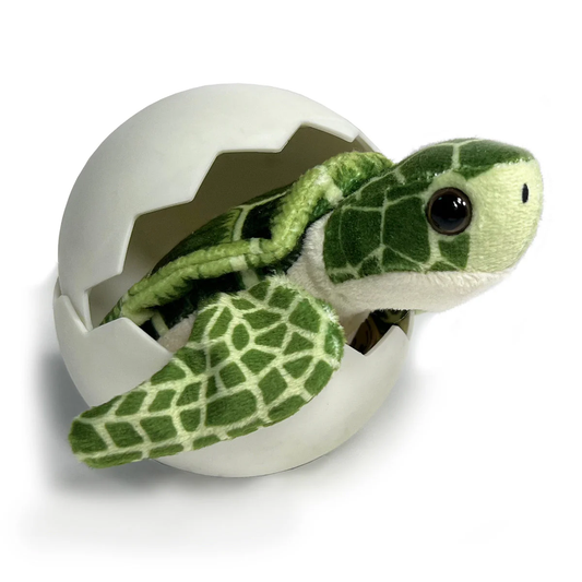Sea Turtle Hatchling Individual Eggs - Persnickety Shop