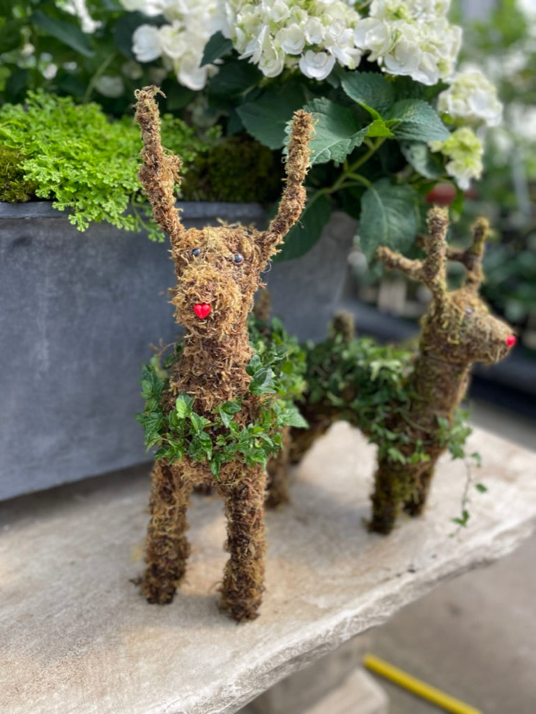 Ivy & Moss Medium Standing Reindeer Topiary - Persnickety Shop