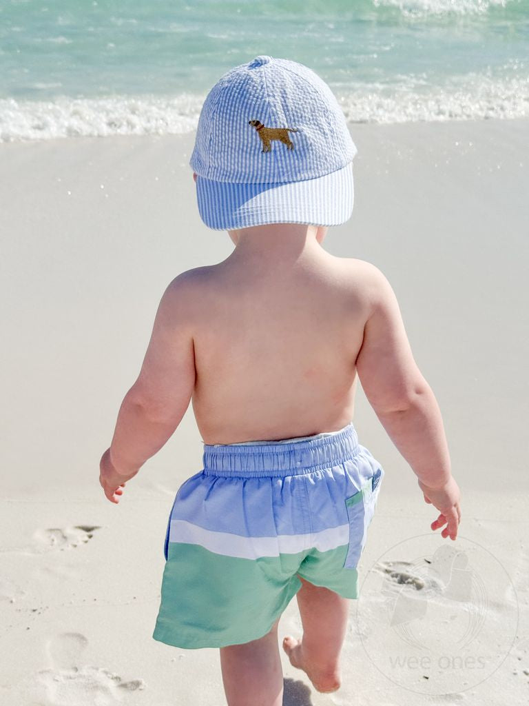 Wee Ones Boys Embroidered Dog Seersucker Ball Cap- Kids - Persnickety Shop