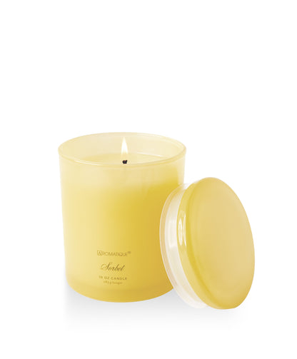 Sorbet Foundry Candle - Persnickety Shop