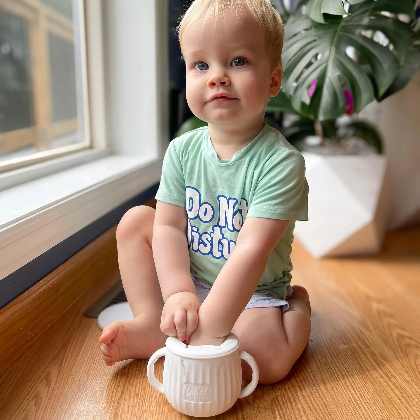 The Miller Snack Cup - Persnickety Shop