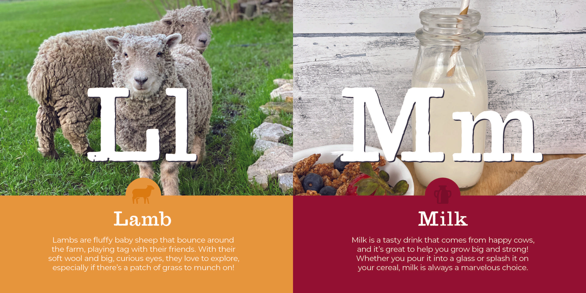 MY FIRST HOMESTEAD ABCS - Persnickety Shop