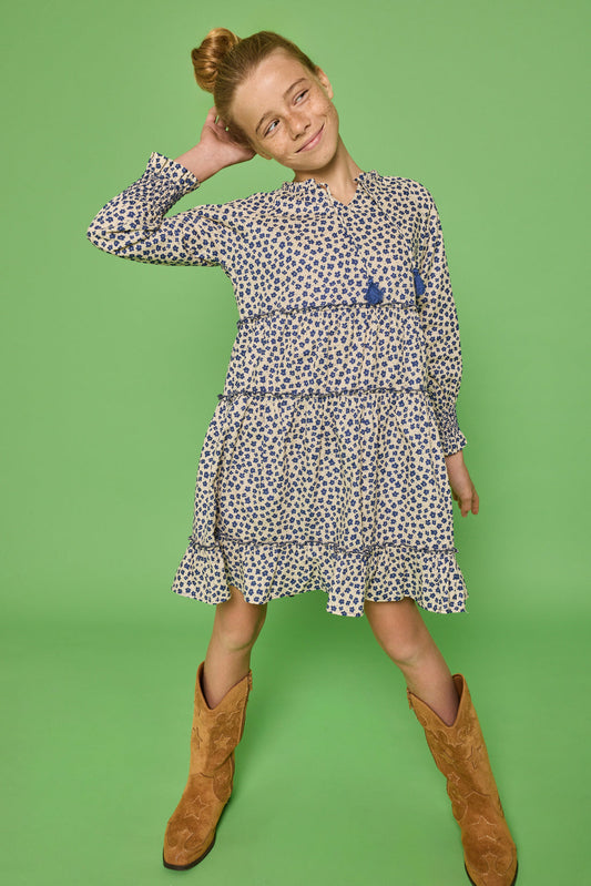 Bisby Shannon Dress - Lucerne Floral