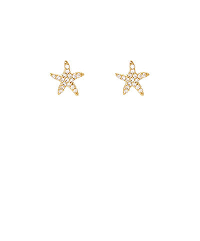 CZ Starfish Brass Studs - Persnickety Shop