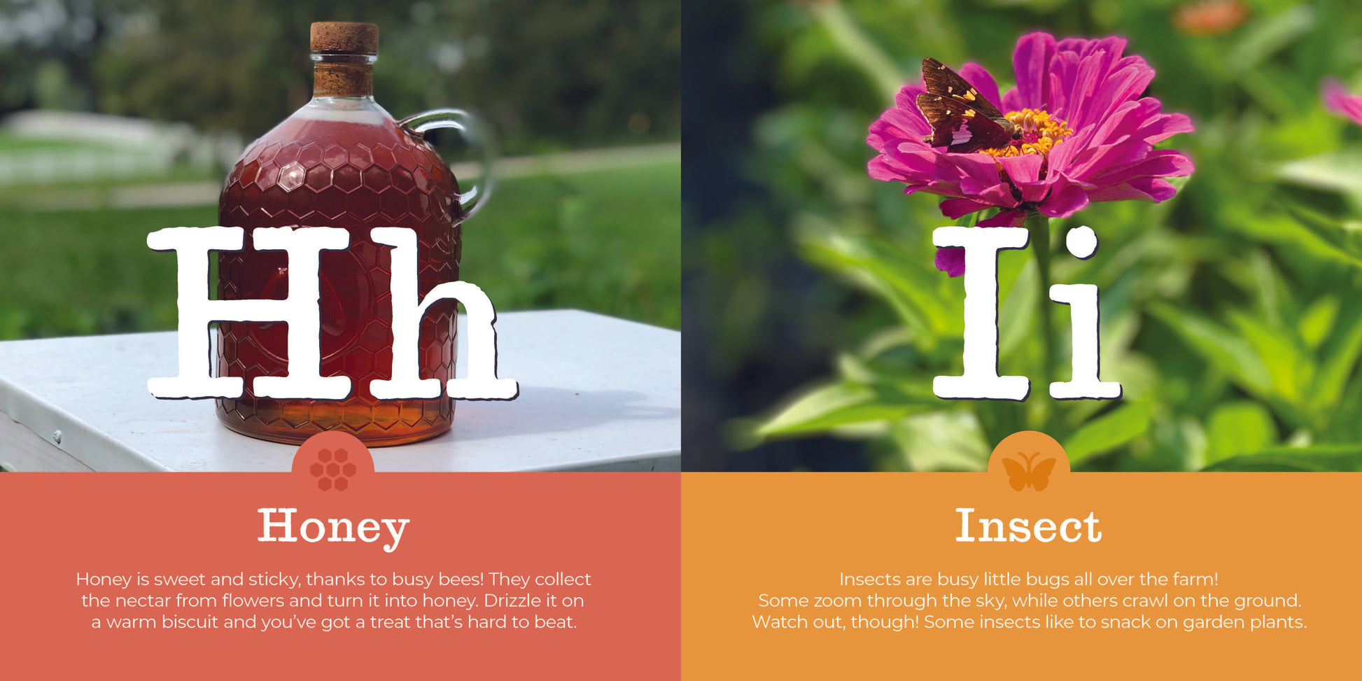 MY FIRST HOMESTEAD ABCS - Persnickety Shop