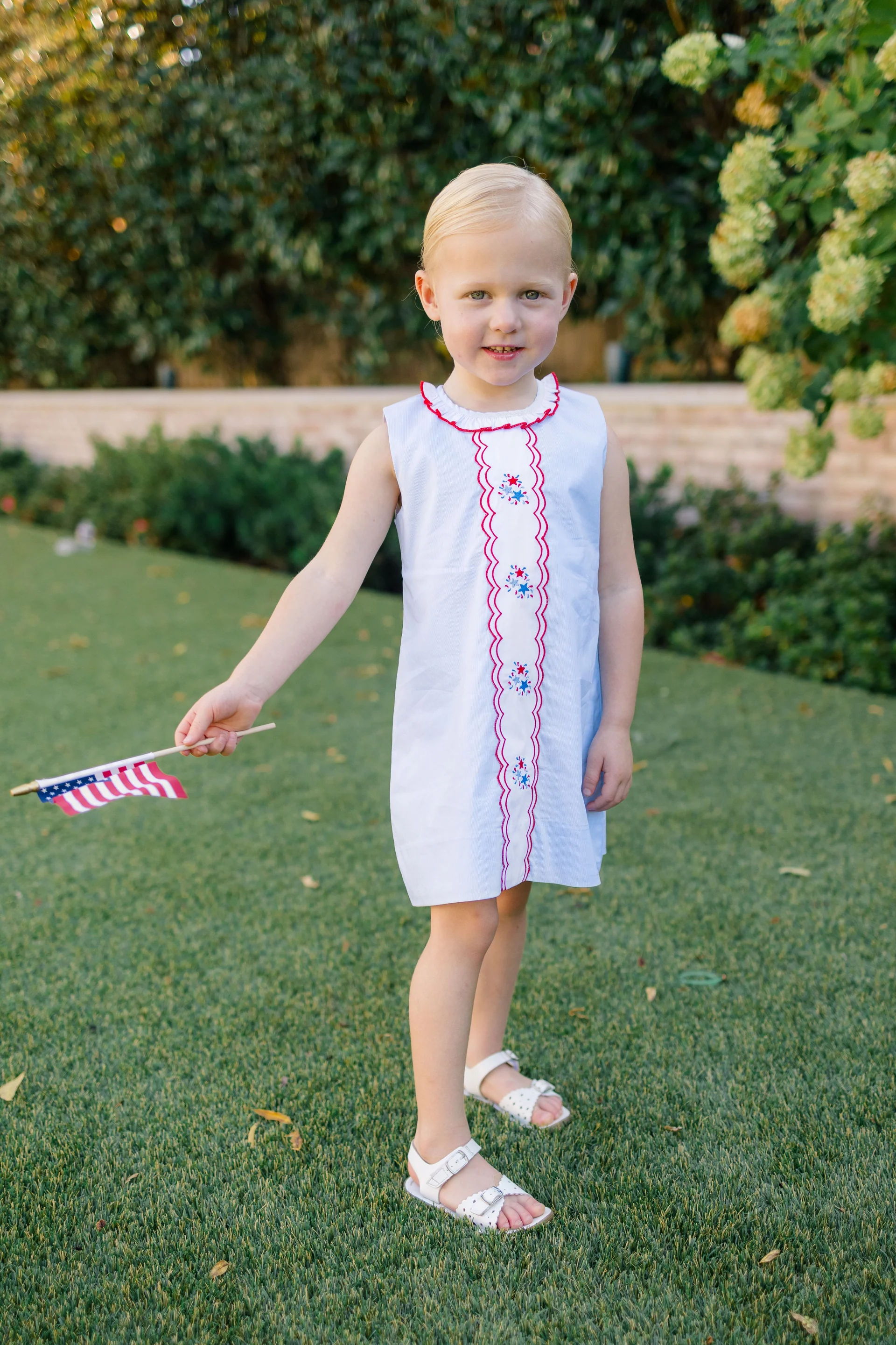 THE PROPER PEONY Revere Fireworks Dress - Persnickety Shop