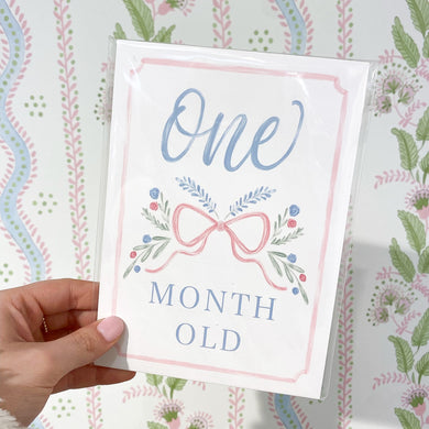 Hamner Hill Pretty in Pink Milestone Cards - Persnickety Shop