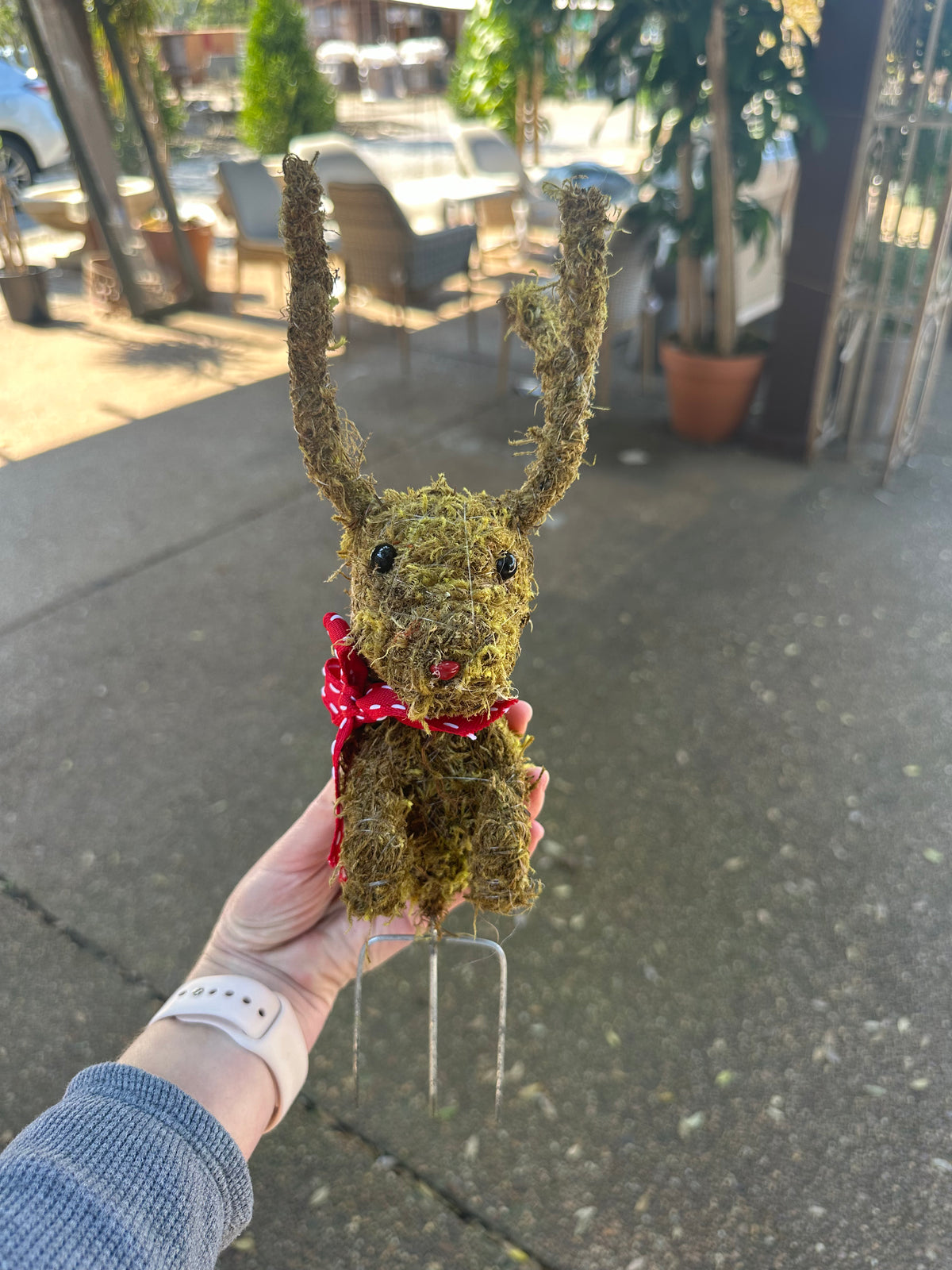 REINDEER MOSS PICK - Persnickety Shop