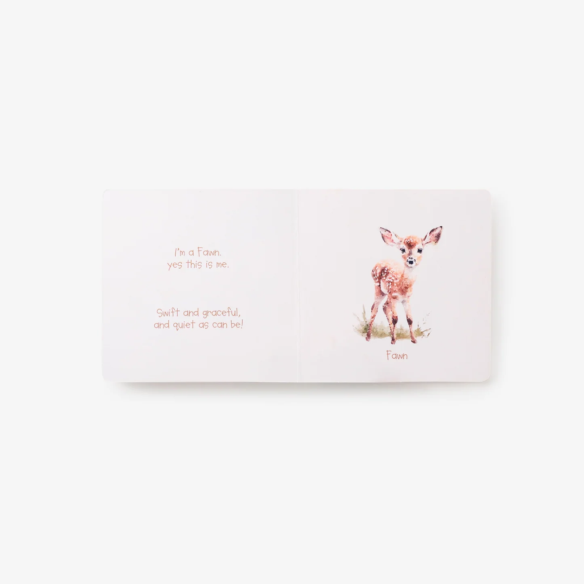 LITTLE WONDERS FOREST BOARD BOOK