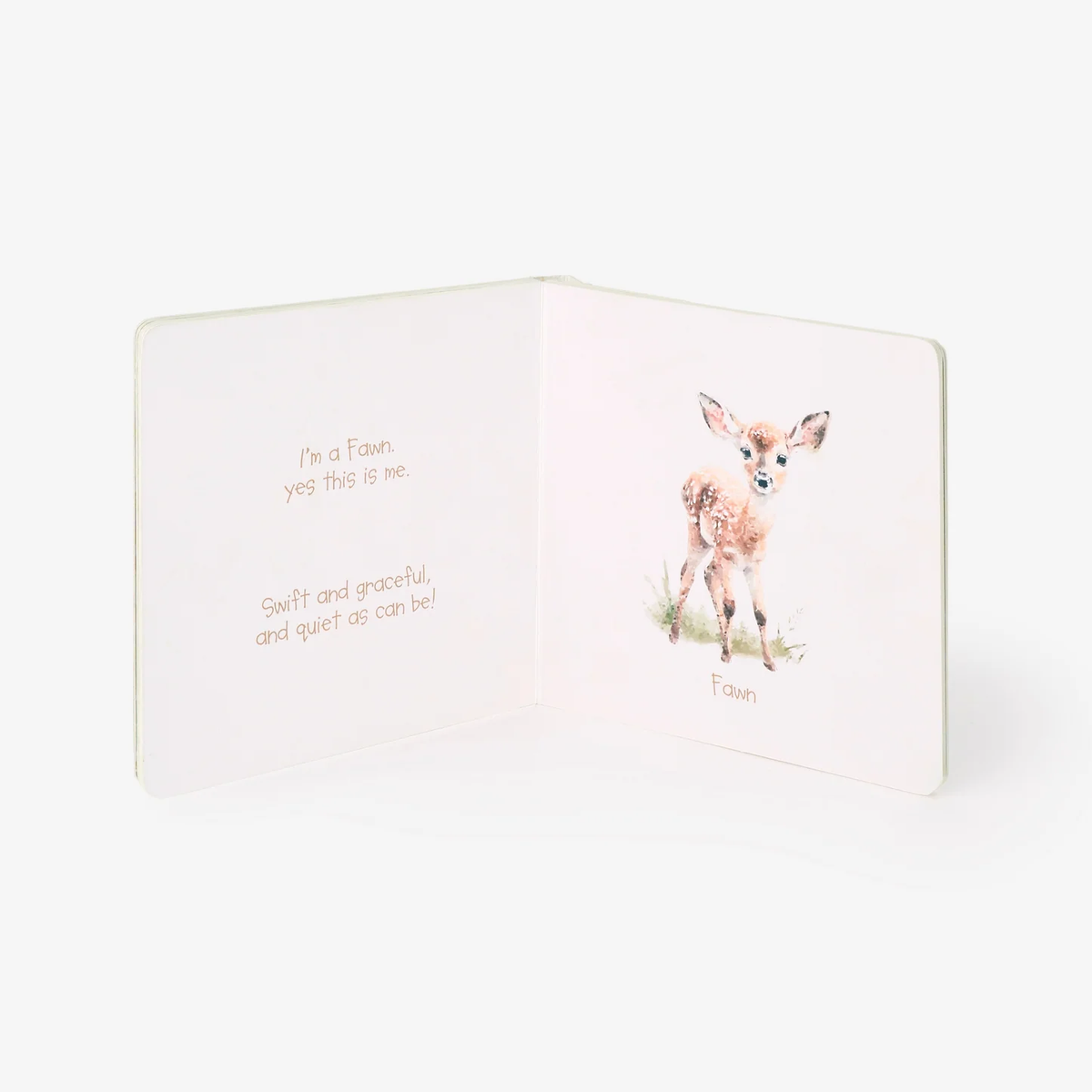 LITTLE WONDERS FOREST BOARD BOOK