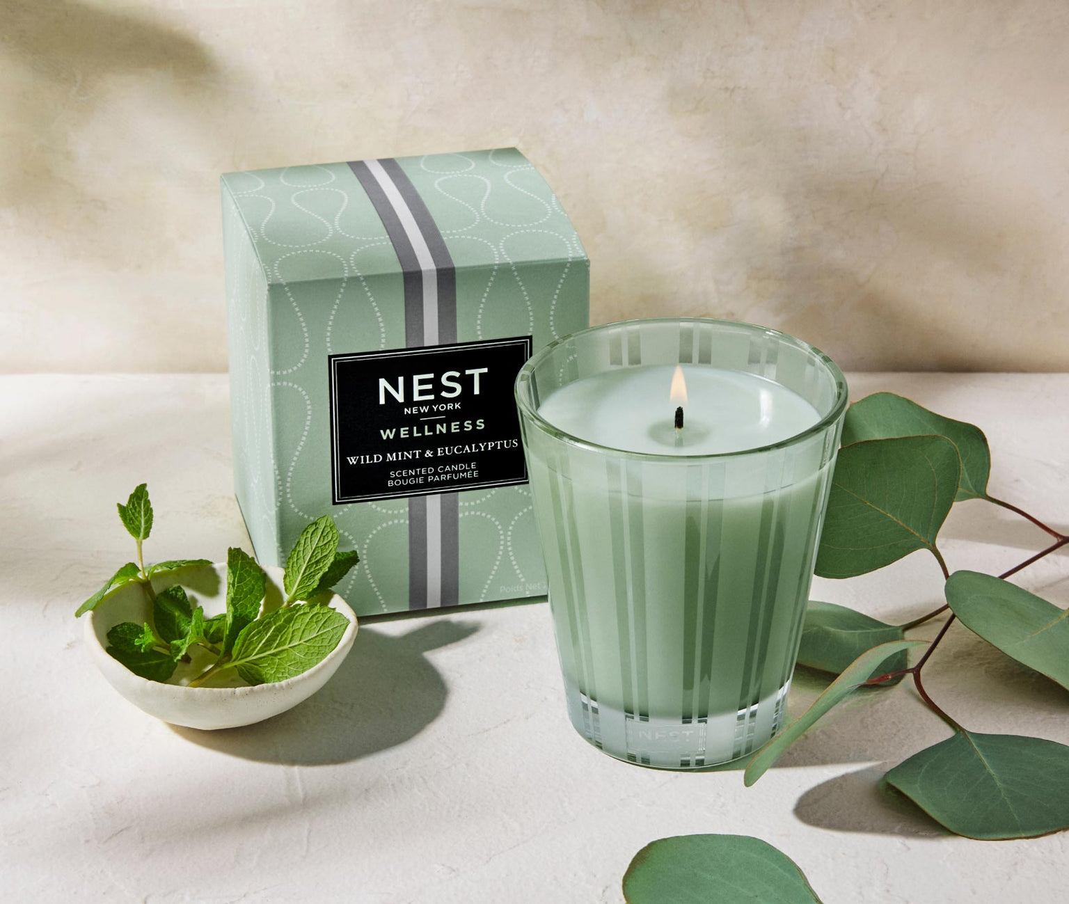 Wild Mint & EucalyptusClassic Candle 8.1 OZ