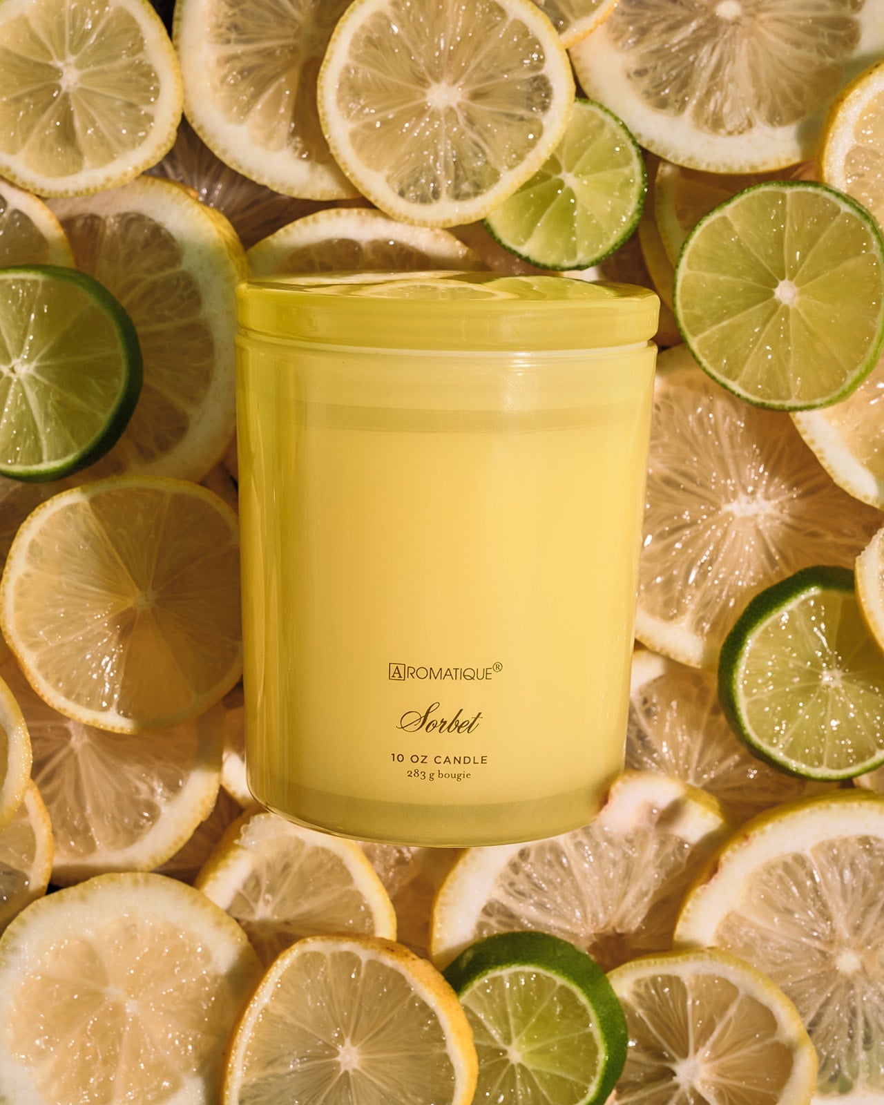 Sorbet Foundry Candle - Persnickety Shop