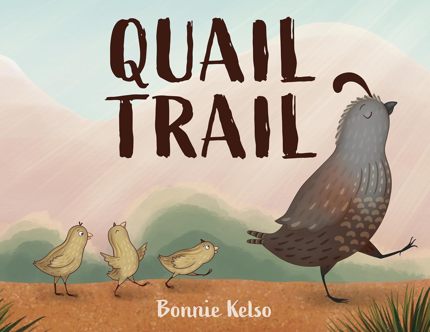 Quail Trail Hardcover - Persnickety Shop