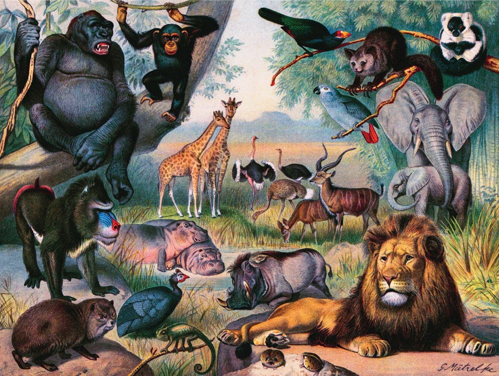 ANIMALS OF AFRICA 1000 PIECE JIGSAW PUZZLE