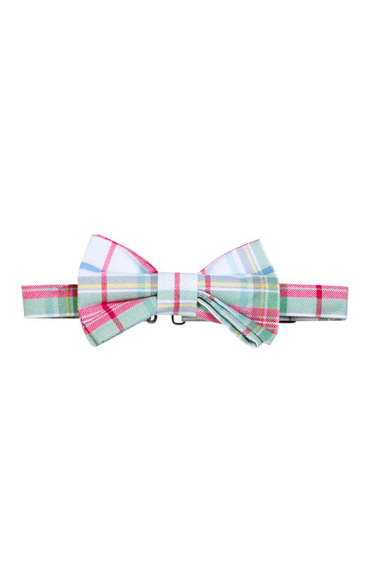 Little English Bow Tie - Douglas Plaid