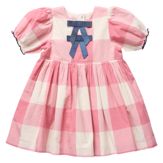 Pink Chicken Girls Herminone Dress - Pink Checks