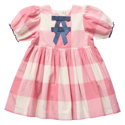 Pink Chicken Girls Herminone Dress - Pink Checks