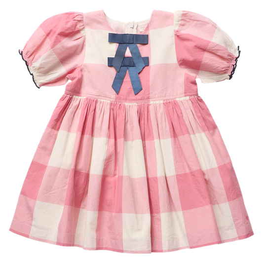 Pink Chicken Girls Herminone Dress - Pink Checks